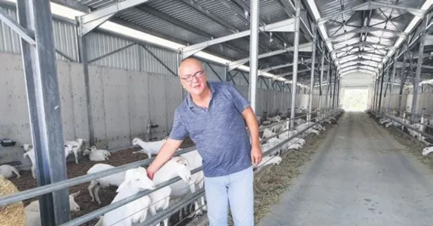 İzmir'de keçi çiftliği kurdu! Dünyaya keçi sütü satacak