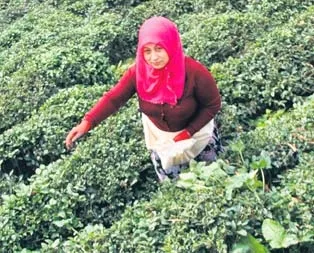 130 Türk’ü hapisten kurtardı!