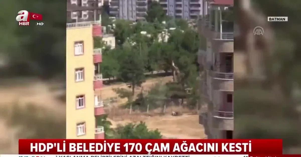 HDP’li Batman Belediyesi’nden ağaç katliamı