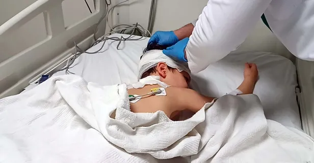 Adıyaman’da başıboş köpek dehşeti! Oyun oynayan çocuk saldırıya uğradı!