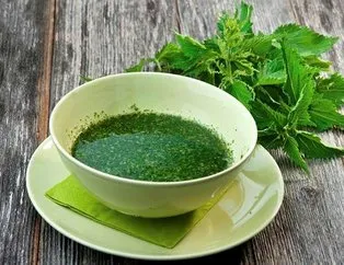 Ağrı kesici ısırgan otu