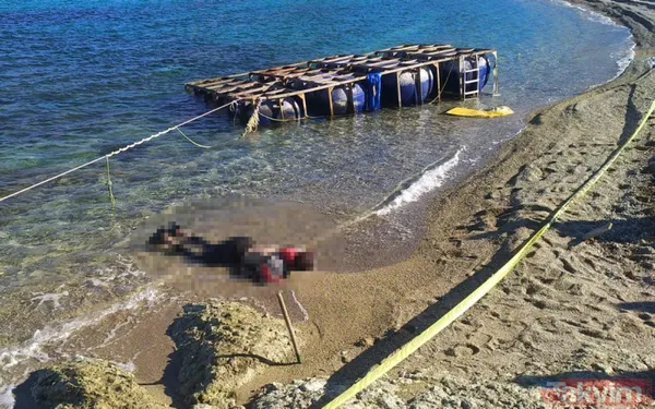 Akıllara Aylan bebek geldi! İzmir Foça sahiline göçmen cesedi vurdu - 2