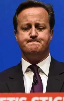 Cameron'dan ikinci istifa