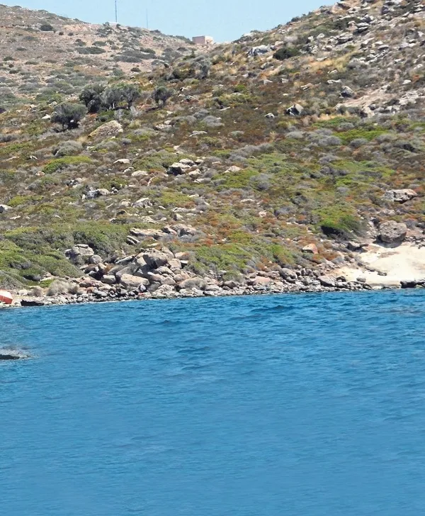 Başkan Erdoğan hassas bölge ilan etmişti! CHP'li belediyeden çevre katliamı!-4