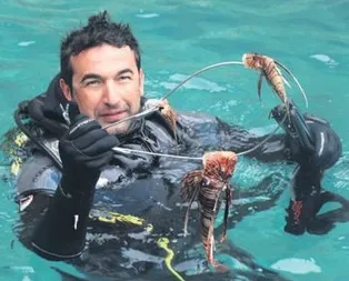 Denizde aslan paniği