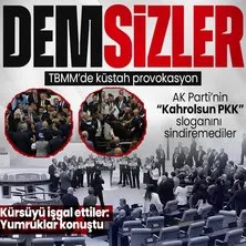 DEM Parti’den TBMM’de küstah provokasyon! Genel Kurul kürsüsünü işgal ettiler: Yumruklar konuştu | AK Parti’den kahrolsun PKK sloganı