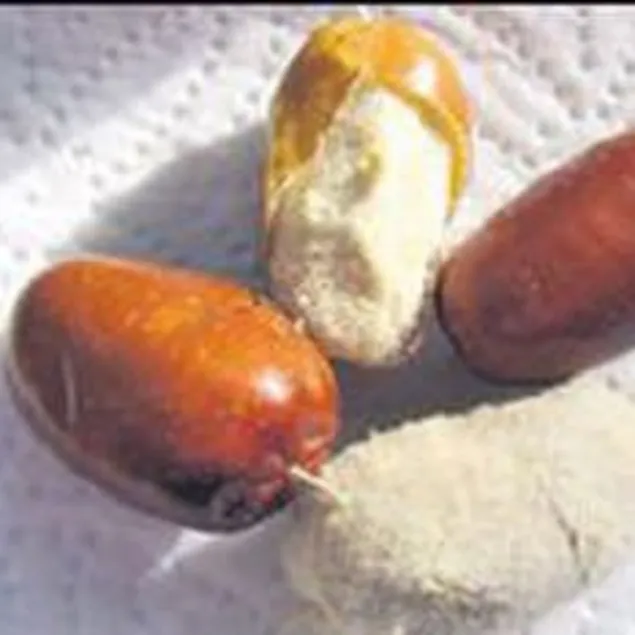 Sivilceler için iğde