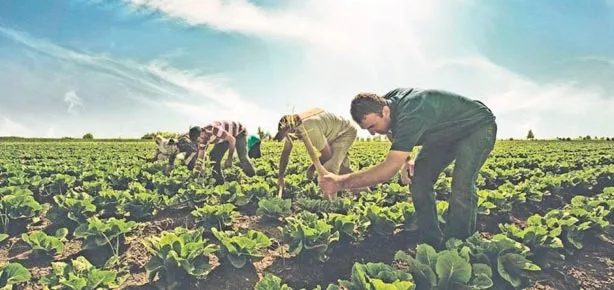Çiftçiye göç kredisi