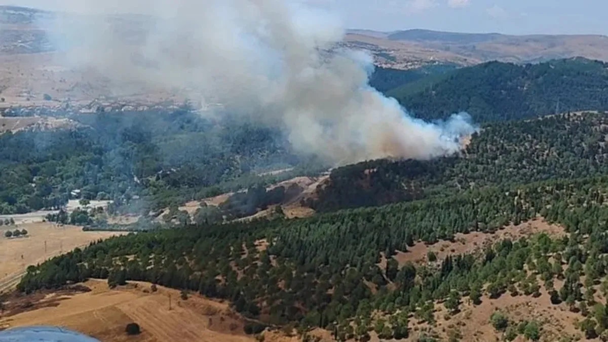 Balıkesir'de orman yangını! Ekipler bölgede