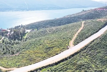 Hedef 10 milyar fidan