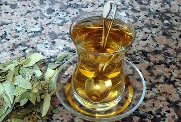 Adaçayı mideyi rahatlatır!