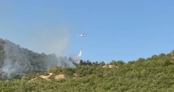 bolu-antalya-bingol-ve-eskisehirde-yangin-dort-ilde-alevlere-havadan-ve-karadan-mudahale-suruyor-1692120056184.jpeg Çok sayıda ilde yangın! Alevlere havadan ve karadan müdahale sürüyor-7