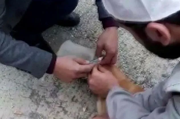 Adana’da kafasına bidon sıkışmış köpeği yoldan geçen imamlar kurtardı