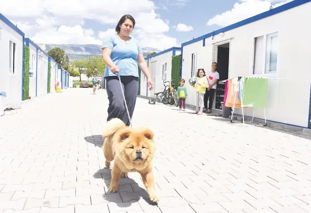 Gurbetçi Yıldırım Sevindik Almanya'da 2 bin 500 Euro'ya cadde satın aldı!-7