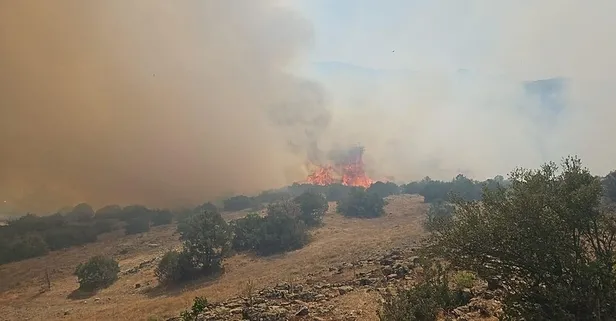 Balıkesir'in Kesput ilçesinden iyi haber: Orman yangını kontrol altına alındı
