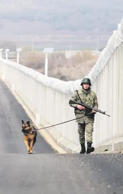 Sınır kalkanı için geri sayım