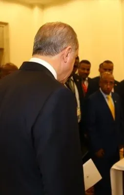 Erdoğan'a hediye edilen aslanlar Gaziantep'e