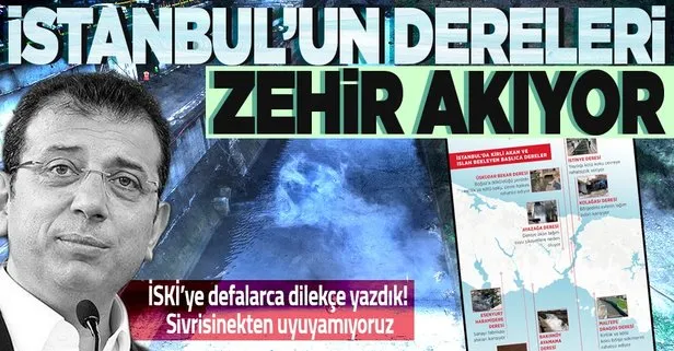 İstanbul’un dereleri halk sağlığını tehdit ediyor!