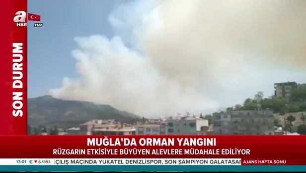 Son dakika: Muğla Milas'ta orman yangını