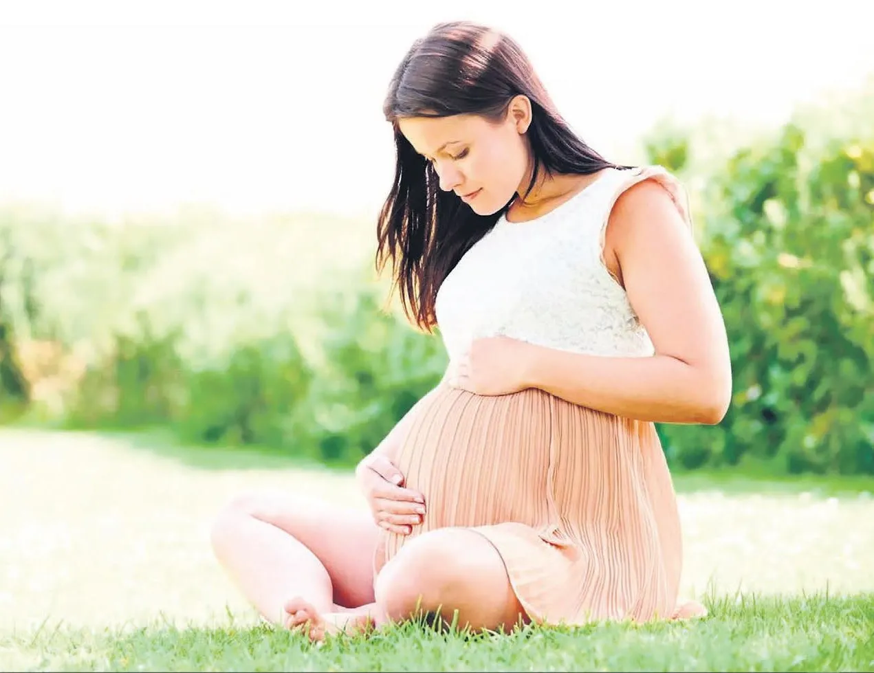 5 yıldızlı kü’Tüp’hane