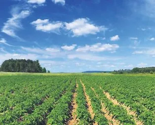 Garantili tarımla 40 bin kişiye iş