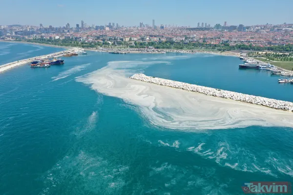 SON DAKİKA: Marmara Denizi için büyük tehlike! Deniz hala soğumadı müsilaj tehlikesi devam ediyor - 25