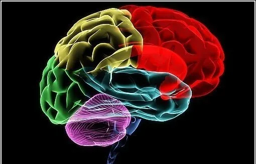 100-kisiden-80i-basarisiz-oluyor-3-soruluk-iq-testini-cozduyseniz-nadir-bir-zekaya-sahip-olabilirsiniz-1708090782385.jpg 100 kişiden 80'i başarısız oluyor! 3 soruluk IQ testini çözdüyseniz nadir bir zekaya sahip olabilirsiniz-2