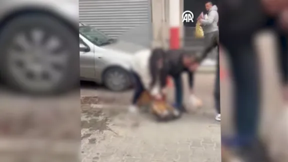 Tekirdağ'da ağızlıksız pitbull sahipli köpeğe saldırdı: O anlar kamerada