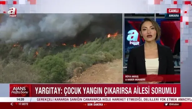 Yargıtay'dan orman yangınlarıyla ilgili emsal karar! Çocuğun çıkardığı yangından ailesi de sorumlu