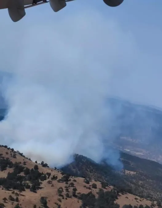 bolu-antalya-ankara-ve-eskisehirde-yangin-dort-ilde-alevlere-havadan-ve-karadan-mudahale-suruyor-1692118293421.jpeg Çok sayıda ilde yangın! Alevlere havadan ve karadan müdahale sürüyor-10