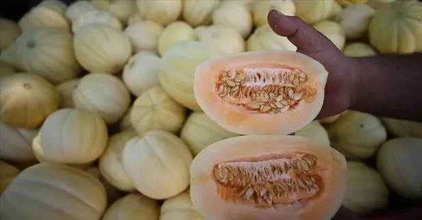 Çeşme kavunu beton kurbanı oldu