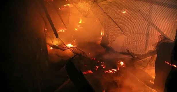 SON DAKİKA: Kastamonu’da gece yarısı korkutan yangın: 4 ev ve 1 odunluk yanarak küle döndü