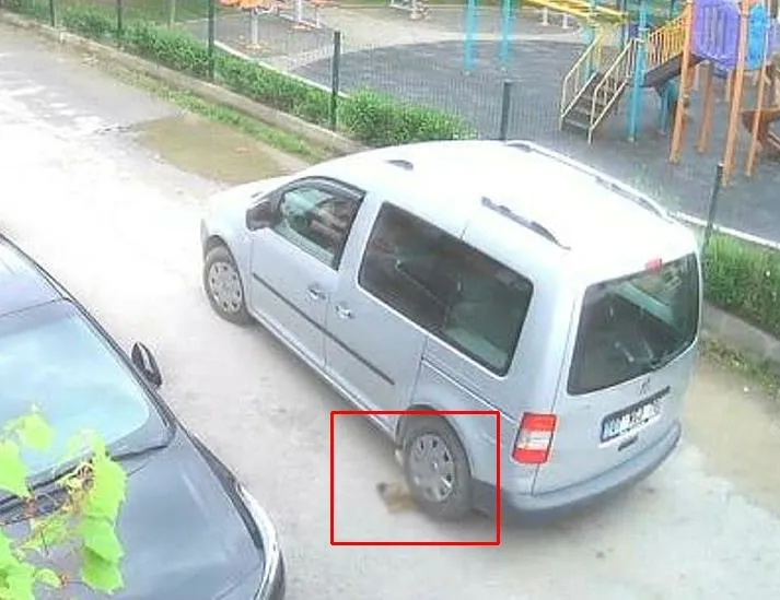 Kocaeli’de korkunç olay! Yavru köpeği...