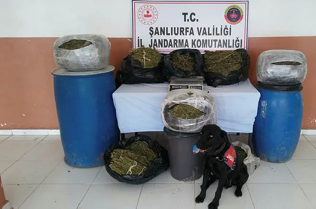 Şanlıurfa'da uyuşturucu çetesine 4 tutuklama