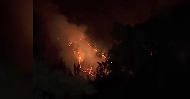 Bursa’da çıkan orman yangınına ekiplerin yoğun müdahalesi karadan devam ediyor