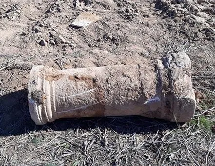 Tarlasını sürerken buldu! Önce taş zannetti...