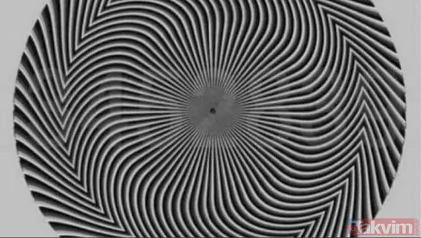 Hangi rakamları görüyorsunuz? Kendine güvenen bu testi çözsün! Sosyal medya ikiye bölündü neğer... - 8