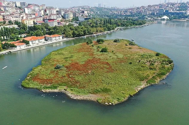 CHP'li İBB'nin Haliç yalanı: Suyu siyaha büründü, kıyı kesimlerinde çöpler birikti