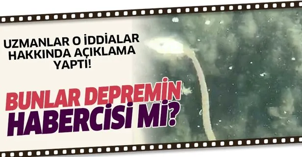 yilanlar depremin habercisi mi