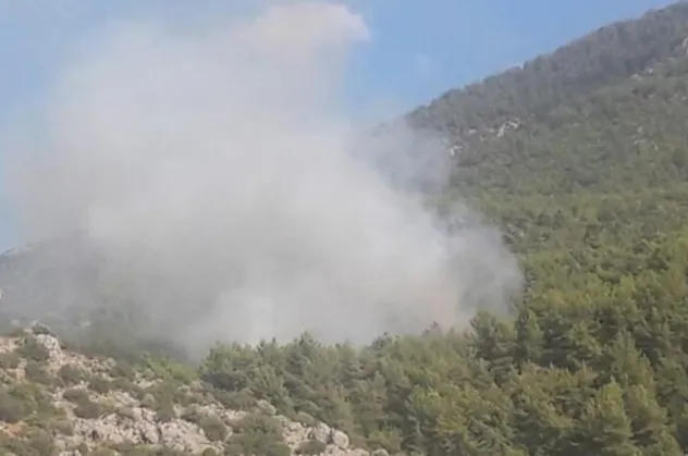 Son dakika: Muğla'da korkutan bir yangın daha!