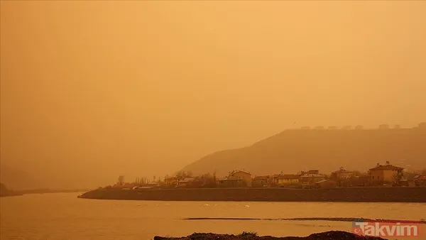 Mali çöl tozu etkisi başladı: Maskesiz dışarı çıkmayın! Astım ve alerjisi olanlar nelere dikkat etmeli? Yağmurla birlikte... - 4