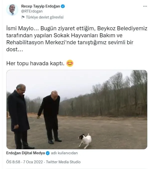 baskan-erdogandan-beykozdaki-hayvan-barinagina-ziyaret-sevimli-maylo-ile-yakindan-ilgilendi-1641579218151.jpeg