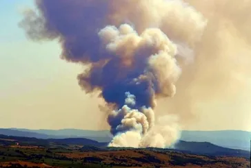 Tekirdağ’da orman yangını!