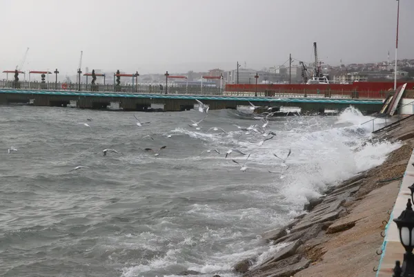 2-aralik-persembe-hava-durumu-meteorolojiden-kar-ve-firtina-uyarisi-istanbula-kar-yagacak-mi-1638415479493.jpg 2 ARALIK PERŞEMBE HAVA DURUMU | Meteoroloji'den kar ve fırtına uyarısı! İstanbul'a kar yağacak mı?-16
