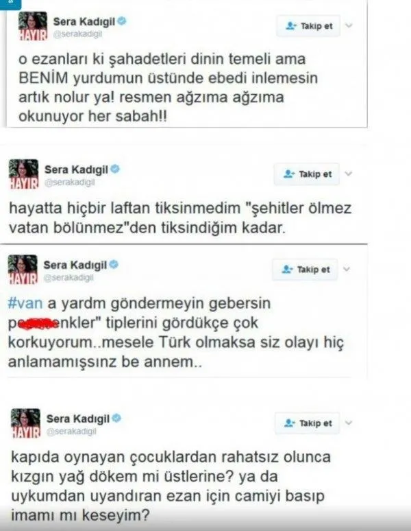 Sera Kadıgil Sütlü CHP'den aday oldu-1