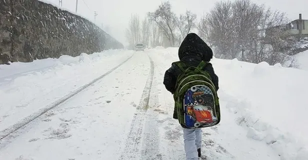 Son dakika... Ardahan'da eğitime kar engeli