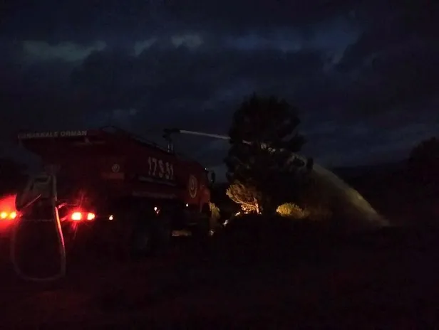 Son dakika: Çanakkale’nin Biga ilçesinde orman yangını-1