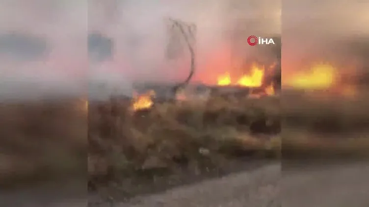 Kaplumbağayı yanmaktan itfaiye kurtardı