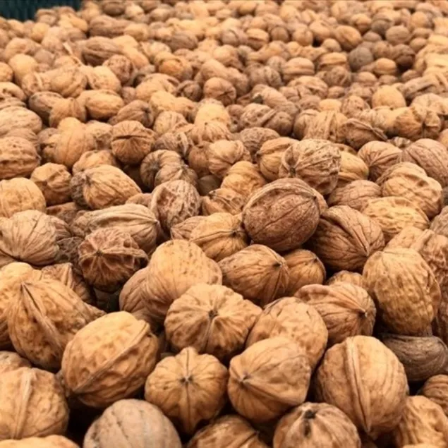 Cevizi sev, beynini koru