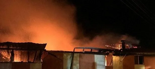 Buzdolabı bomba gibi patladı!